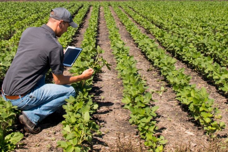 shutterstock_agtech-1168×657