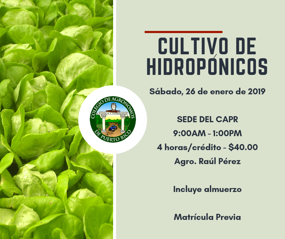 Cultivo de Hidroponicos 2.0