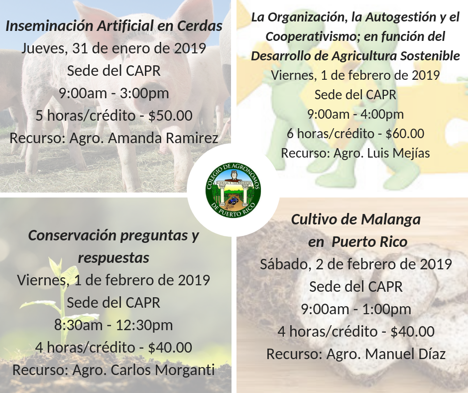Promo Curso de enero 2019 rev.