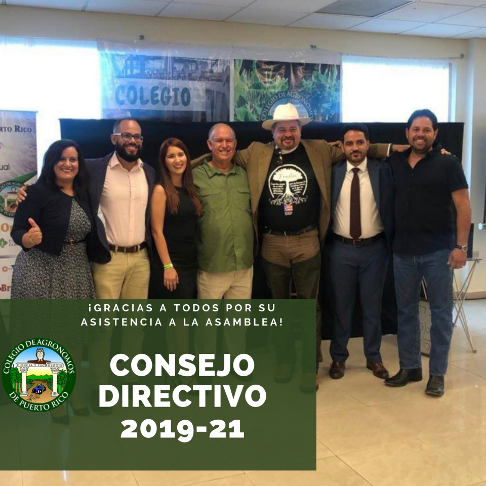 Consejo Directivo 2019-21