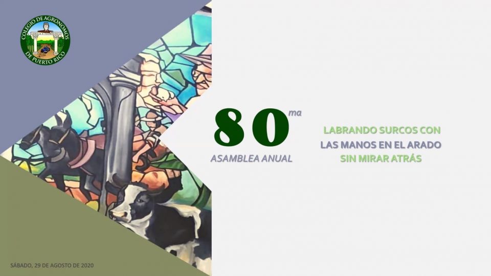 48b1c6c2-e42b-4004-a1d4-68051d9518dc