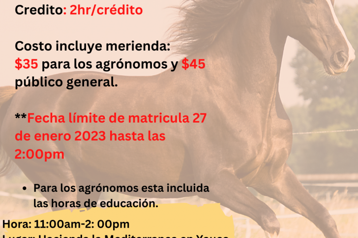 Educación Continuada Equino (3)